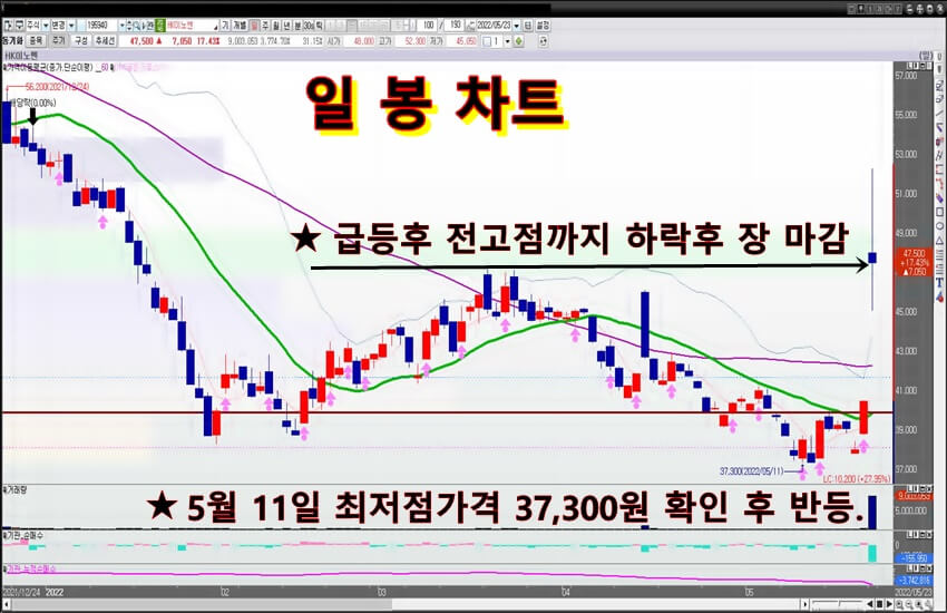 HK이노엔-일봉-차트