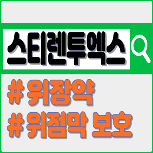 스티렌투엑스정