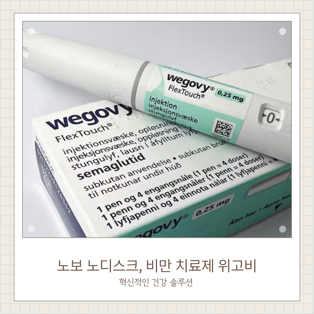 노보솔루션 이미지
