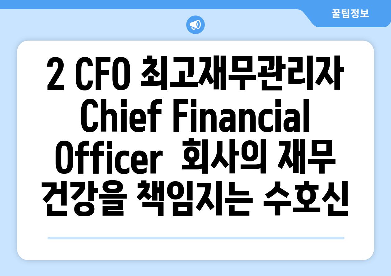 2. CFO: 최고재무관리자 (Chief Financial Officer) - 회사의 재무 건강을 책임지는 수호신!