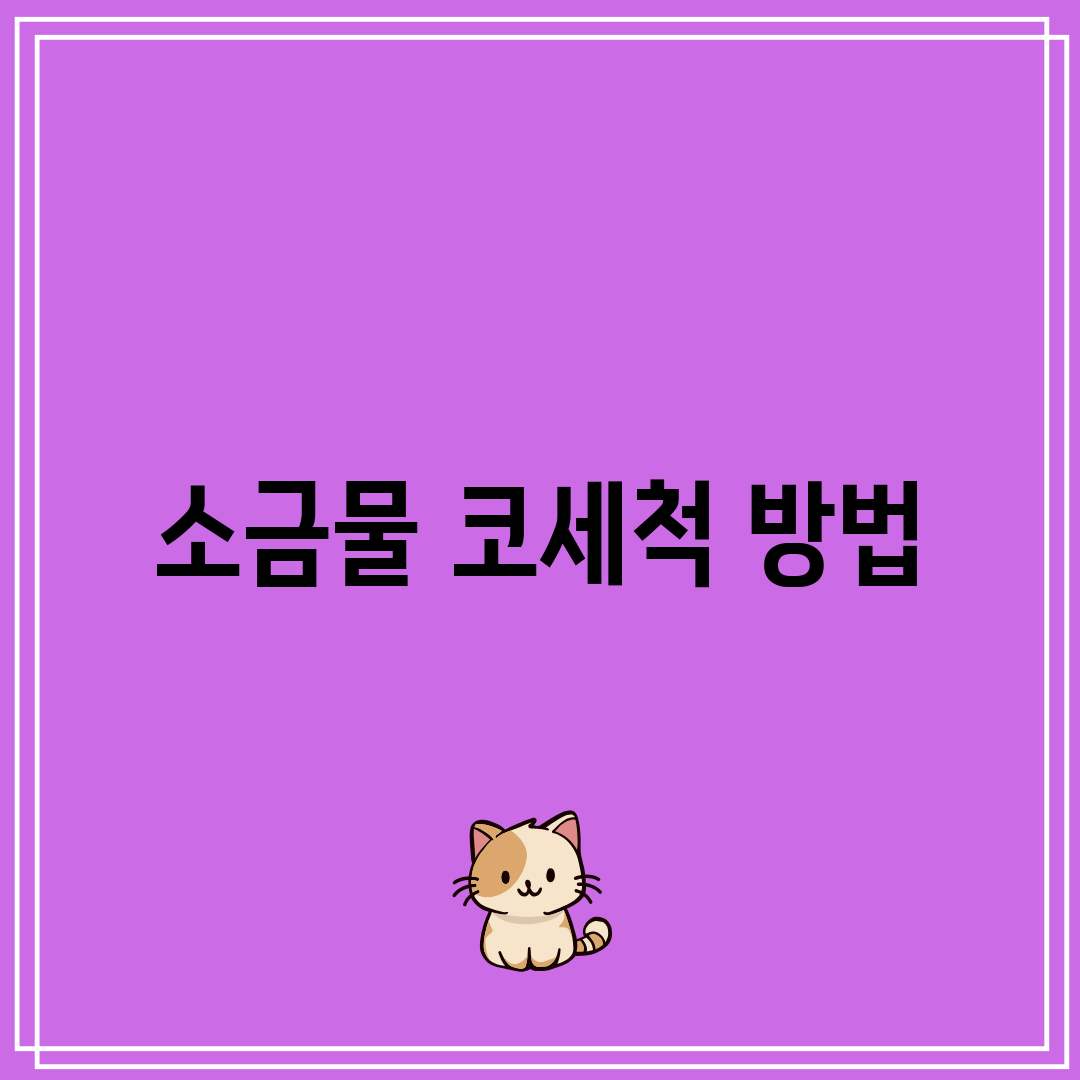 소금물 코세척 방법