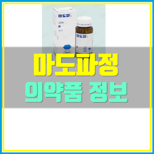  마도파정 복용법