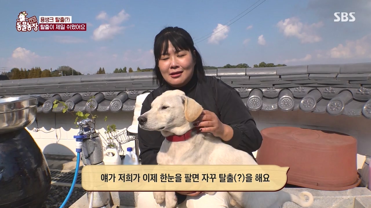 TV 동물농장.E1147.231127p-NEXT.mp4_20231126_170359.307.jpg