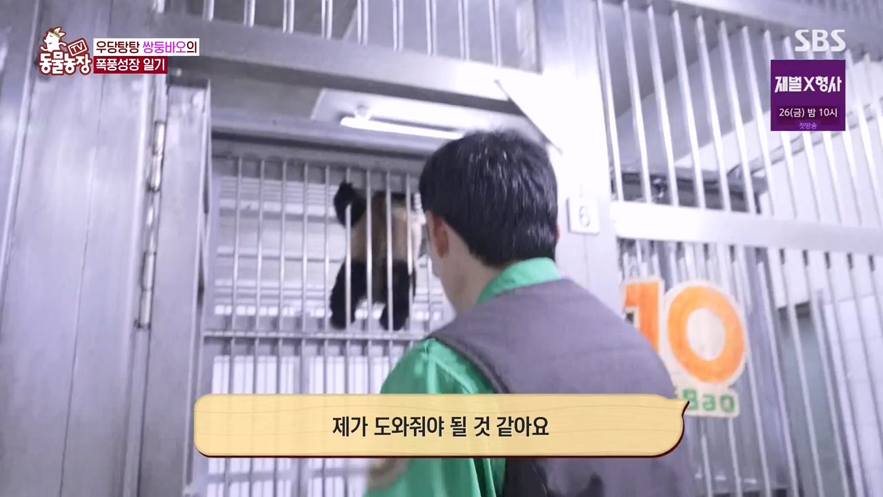 TV 동물농장.E1155.240122p-NEXT.mp4_20240121_145935.388.jpg