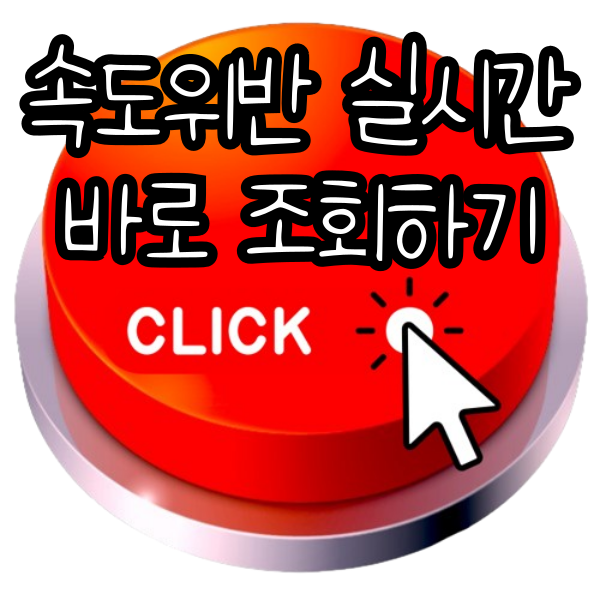 속도위반 실시간 조회 ✅