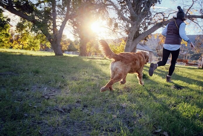갈색 큰 개가 여자와 함께 달리고 있다.