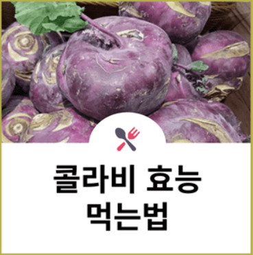  콜라비 효능과 먹는 법 [부작용, 활용]