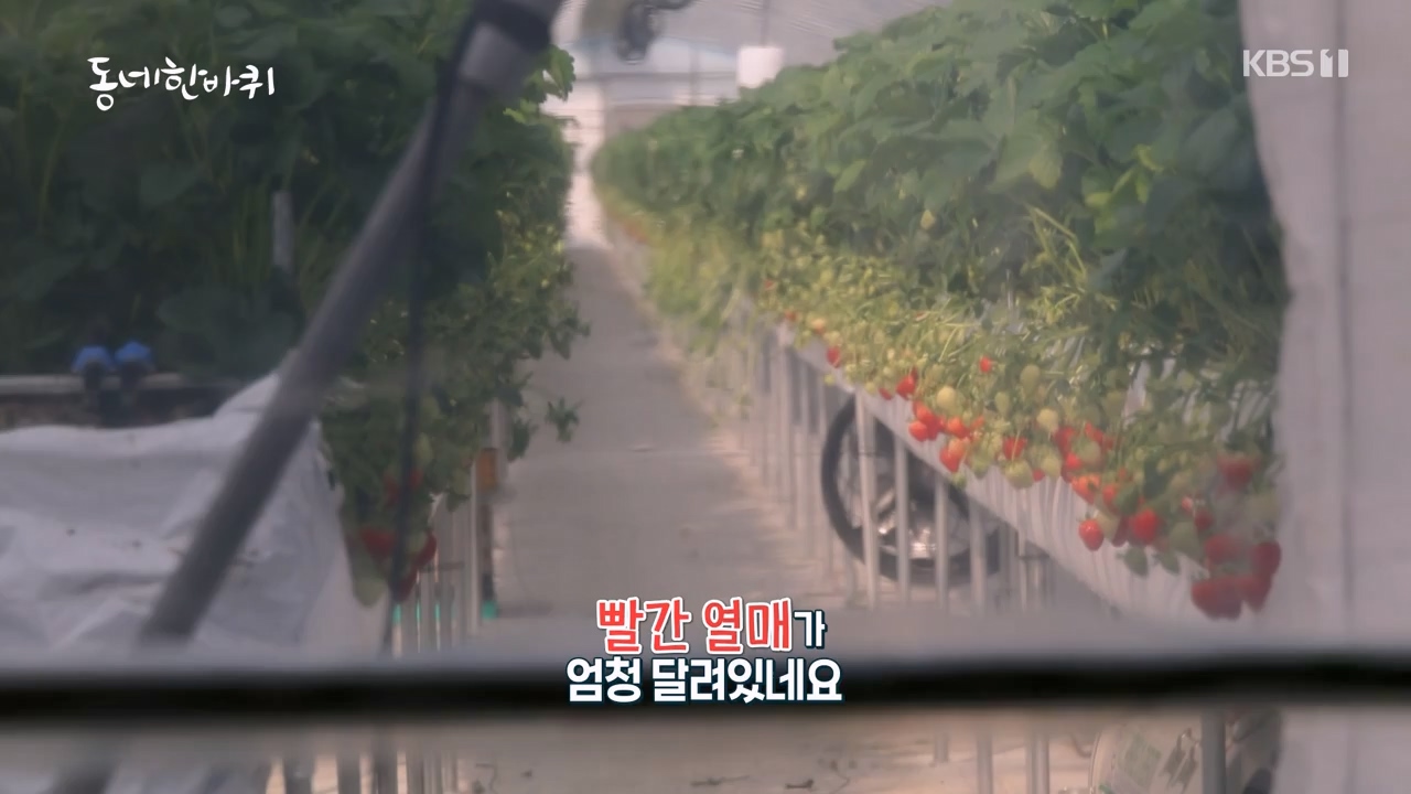 동네 한 바퀴.E272.240505p-NEXT.mp4_20240505_160318.466.jpg