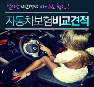  자동차보험갱신비교 다이렉트자동차종합보험 인터넷최저가 확인