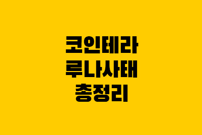  테라 루나 사태 코인 사건 정리(권도형, 신현성)
