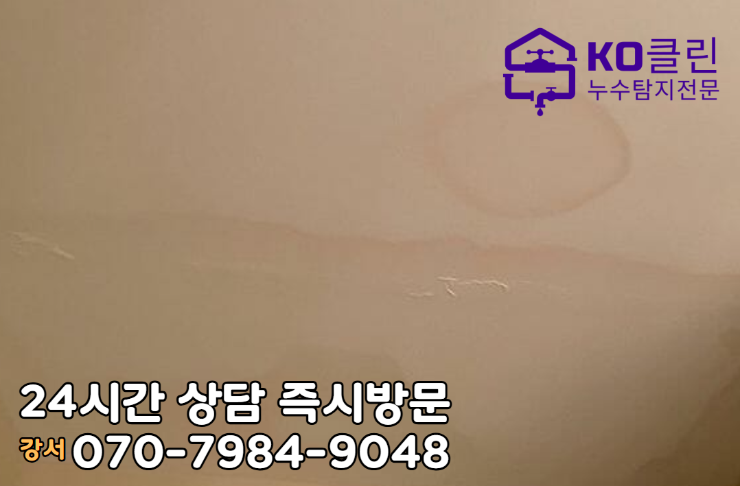 방화동 누수탐지 전문가2