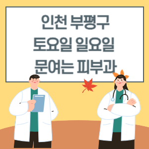 인천 부평구 토요일 일요일 피부과 진료 병원 리스트