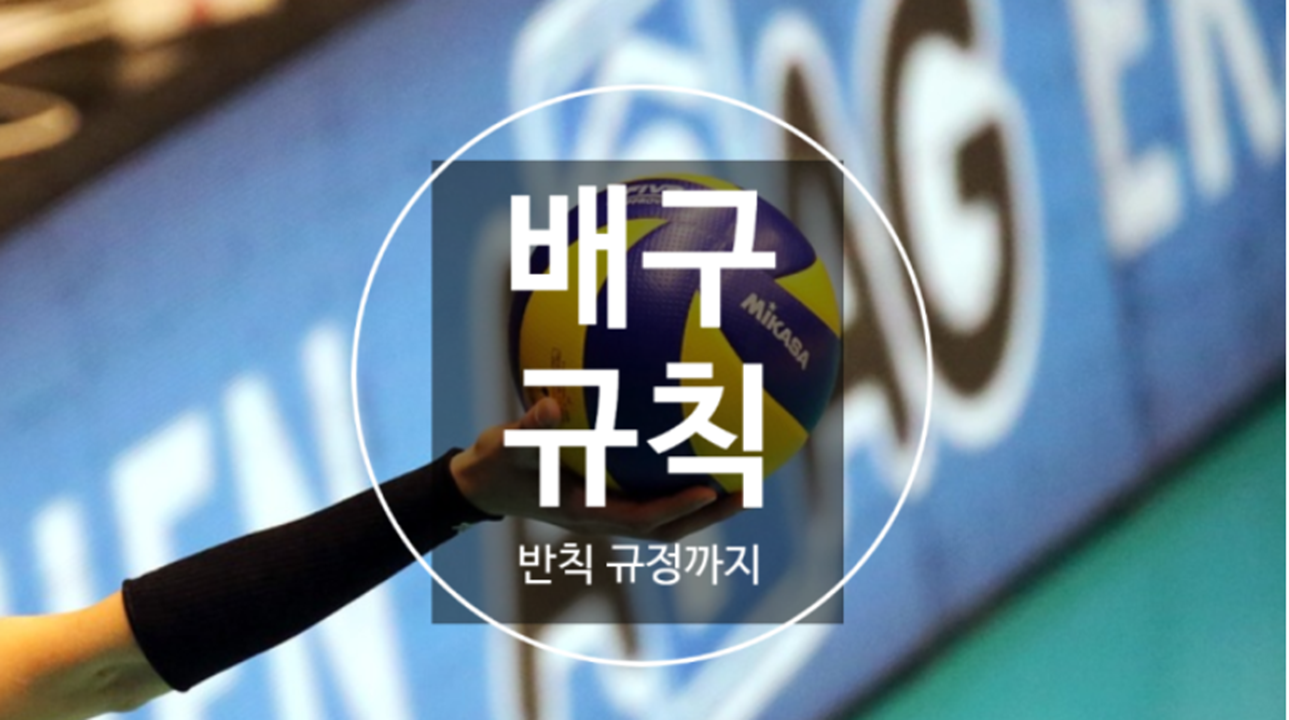  배구 경기규칙, 반칙과 점수, 경기인원수를 알아보자!