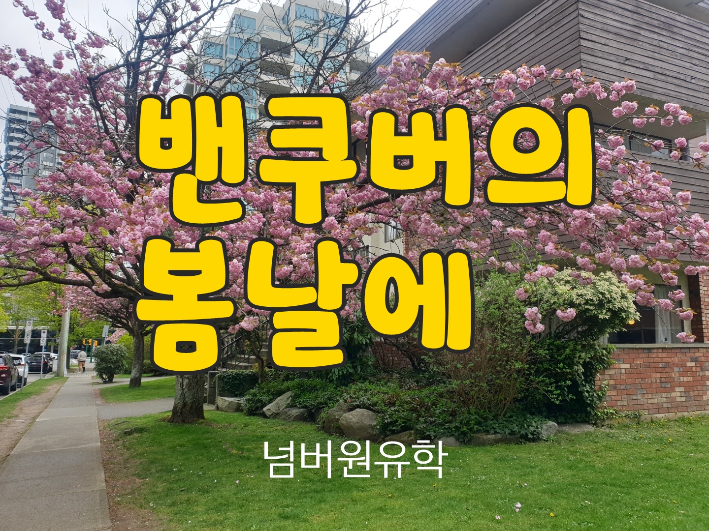  #청주유학원 수속생 소식  꽃이 만발한 밴쿠버의 봄날에