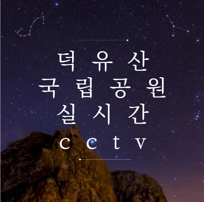  덕유산 국립공원 실시간 cctv (눈꽃산행)
