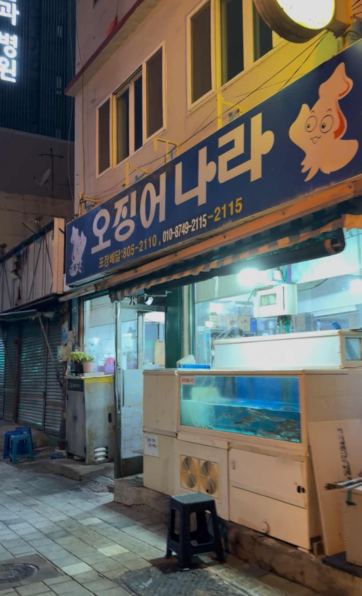 오징어나라 사진 2