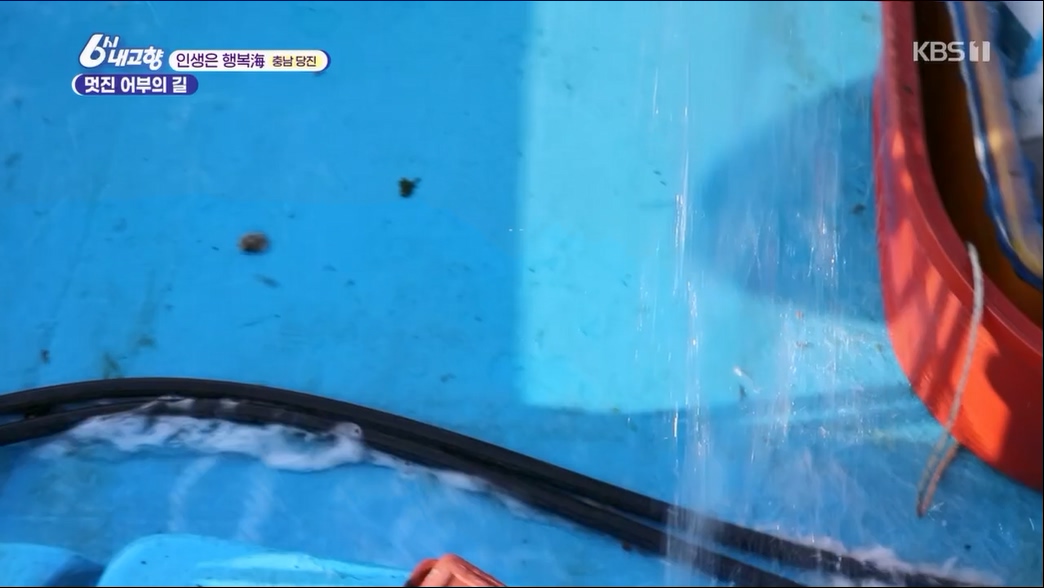 6시 내고향.E7806.230613p.H264-F1RST.mp4_20230614_205852.125.jpg