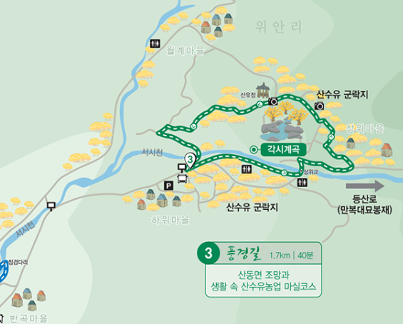 구례 산수유축제