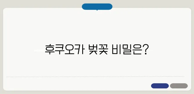 후쿠오카 벚꽃 명소 & 개화시기! 여행 코스 추천