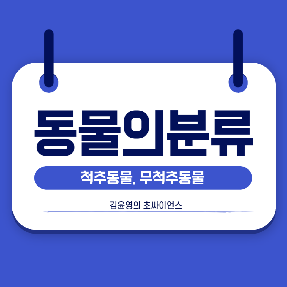 포유류 종류 동물의 분류 [척추동물 과 무척추동물] 어류, 양서류, 2
