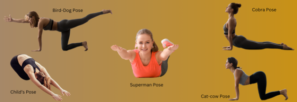 허리가 아픈 이유 - 요가 자세들