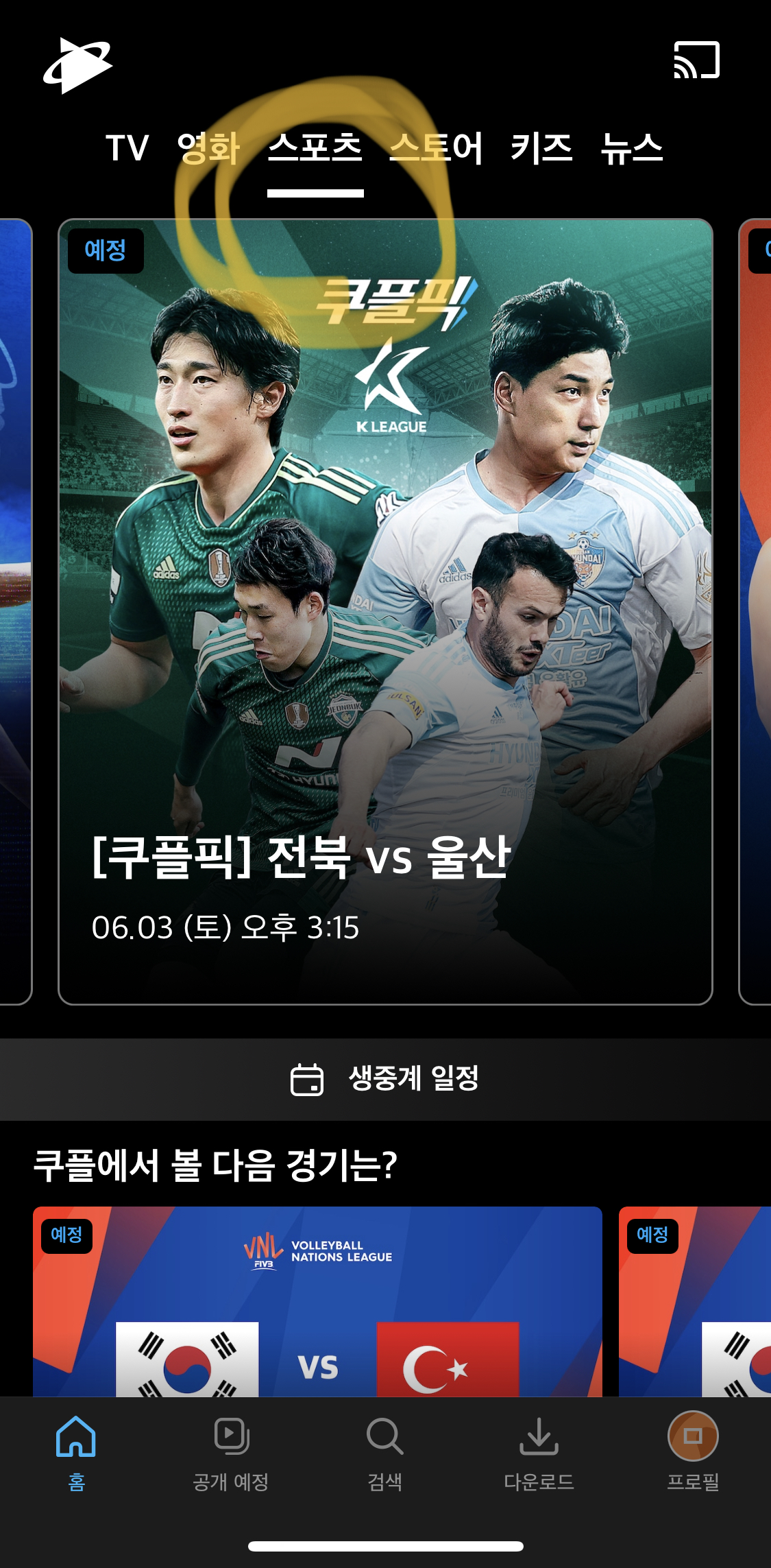 쿠팡플레이