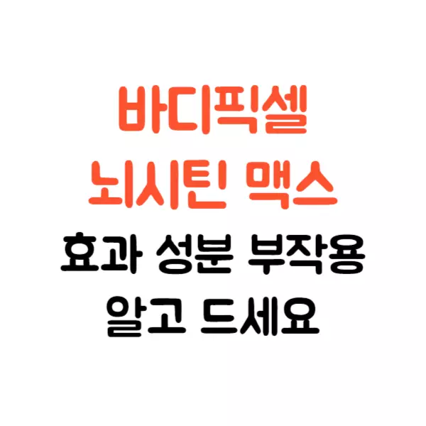 바디픽셀 뇌시틴 맥스 효과 성분 부작용 알고 드세요