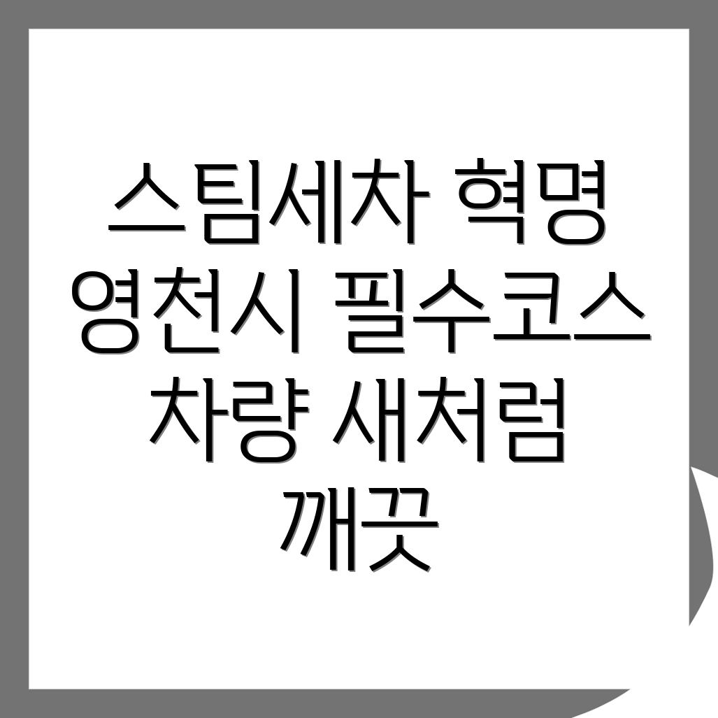 스팀세차