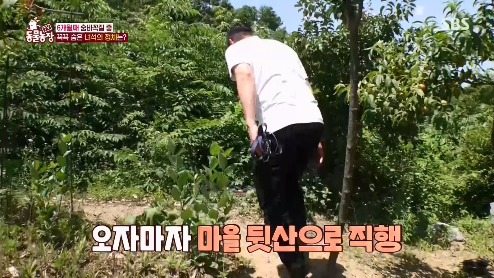 TV 동물농장.E1127.230702p.H264-F1RST.mp4_20230704_212708.472.jpg