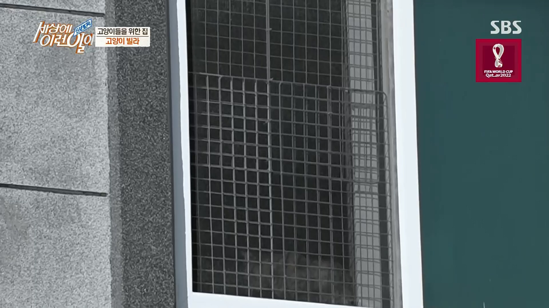 순간포착 세상에 이런일이.E1206.221115p.H264-F1RST.mp4_20221118_195824.013.jpg