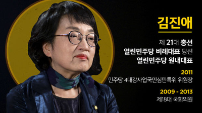 김진애 국회의원