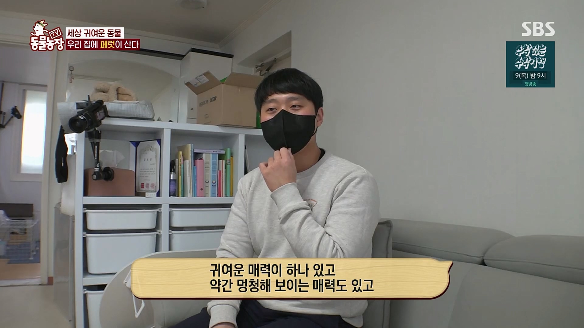 TV 동물농장.E1109.230226p.H264-F1RST.mp4_20230226_161915.055.jpg