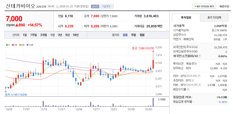 신테카바이오 일봉차트