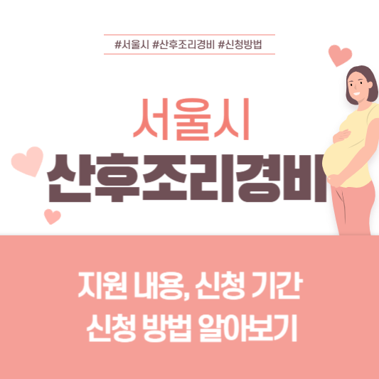 서울시 산후조리경비