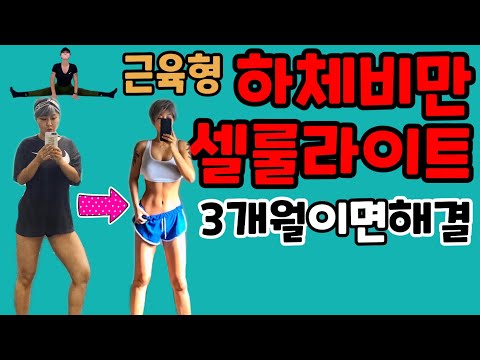 관절 건강 정보