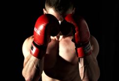  UFC 체급표 체급 알아보기