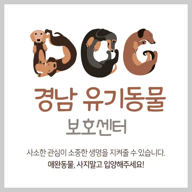 경남-유기동물보호센터-강아지-고양이-유기동물보호소
