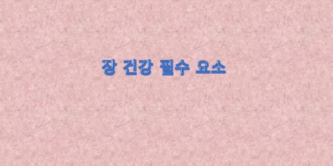  장 건강을 위한 필수 요소