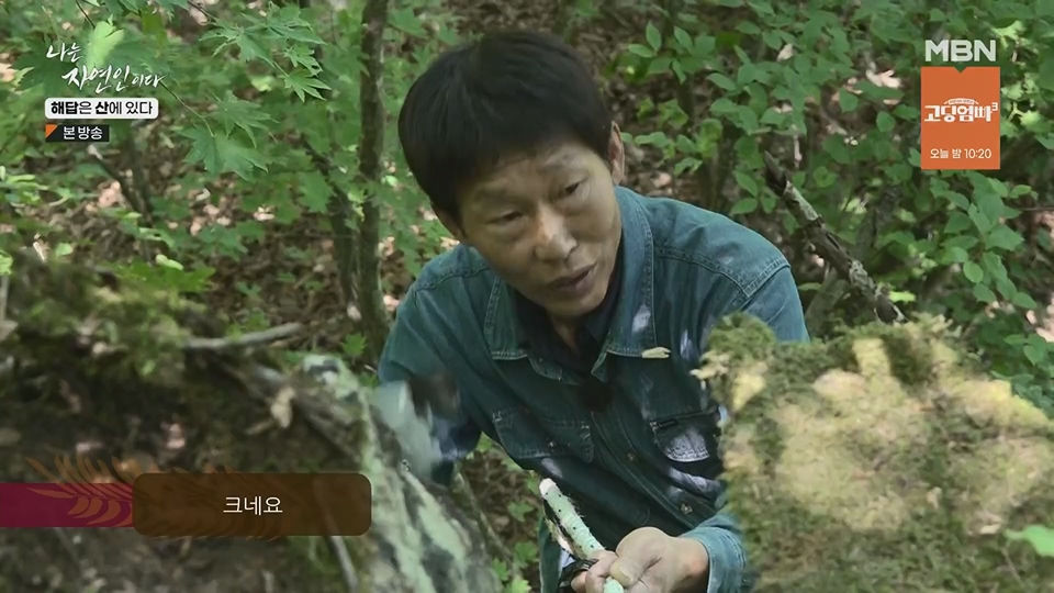 나는 자연인이다.E559.230621p.H264-F1RST.mp4_20230622_204021.975.jpg