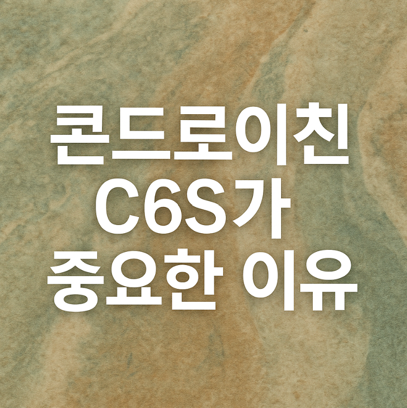 콘드로이친 &quot;C6S&quot; 의 중요성에 따른 섭취 방법 총정리