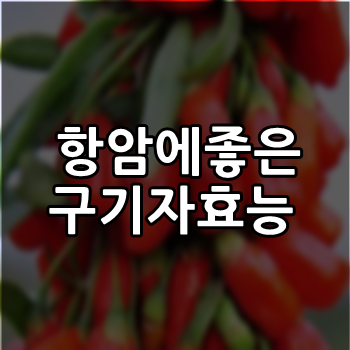  구기자 효능 주치 알아두면 좋은 정보[면역,항암]
