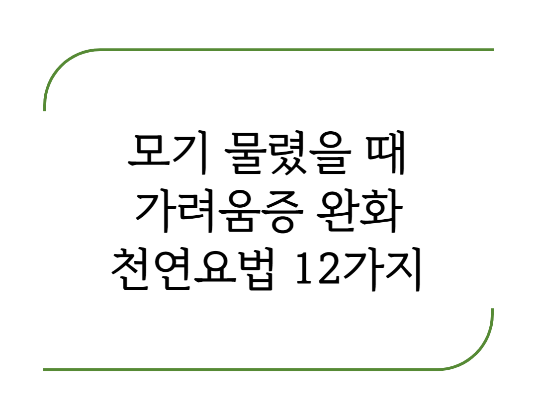  모기 물렸을 때 가려움증과 통증 없애는 천연 요법 12가지 방법