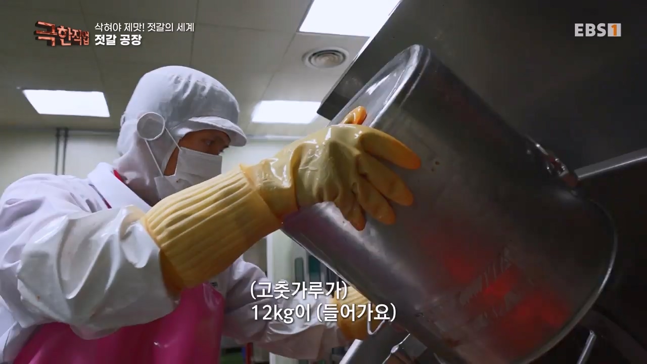 TV - 전 국민의 평생학교 EBS삭혀야 제맛! 젓갈의 세계.mp4_20231125_190846.163.jpg