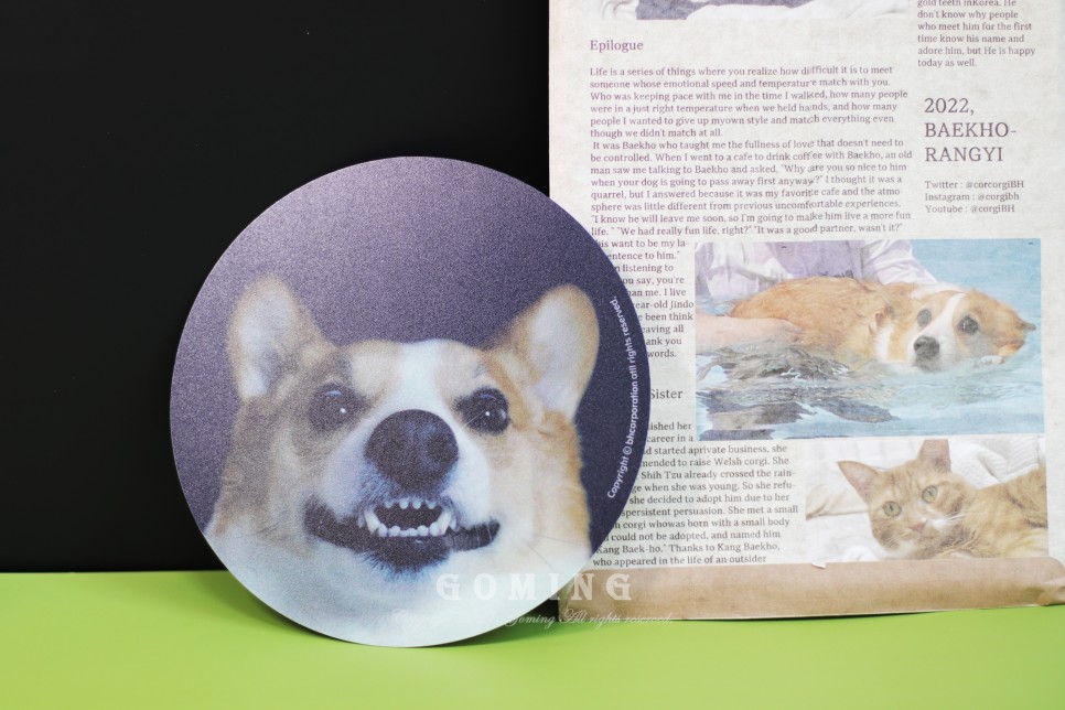 백호랑이 주문, 이웃집의 죽도록 사랑해!!!! 5