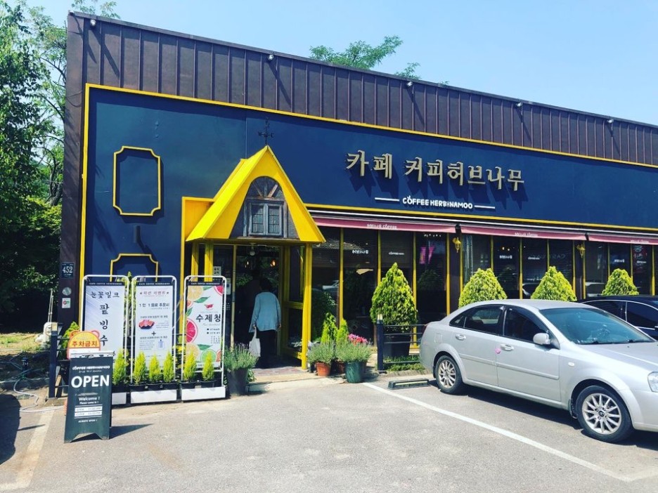 커피허브나무 이미지