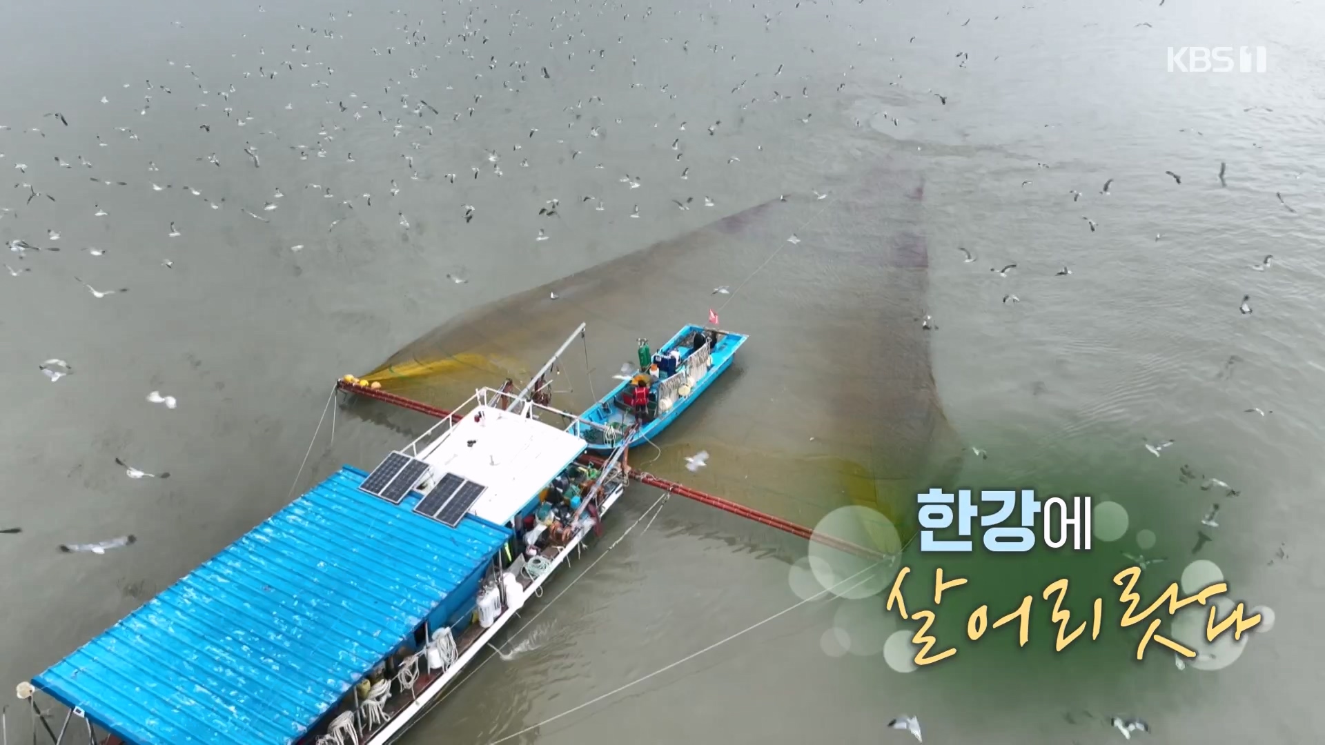 추석 특집 다큐 1부 - 한강에 살어리랏다.E01.230928p-NEXT.mp4_20230929_152309.685.jpg