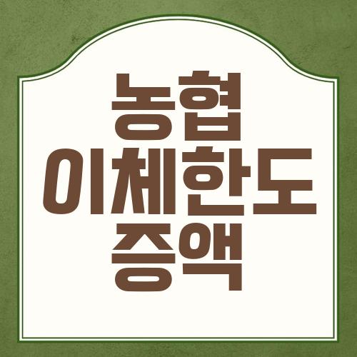 농협 이체한도 증액