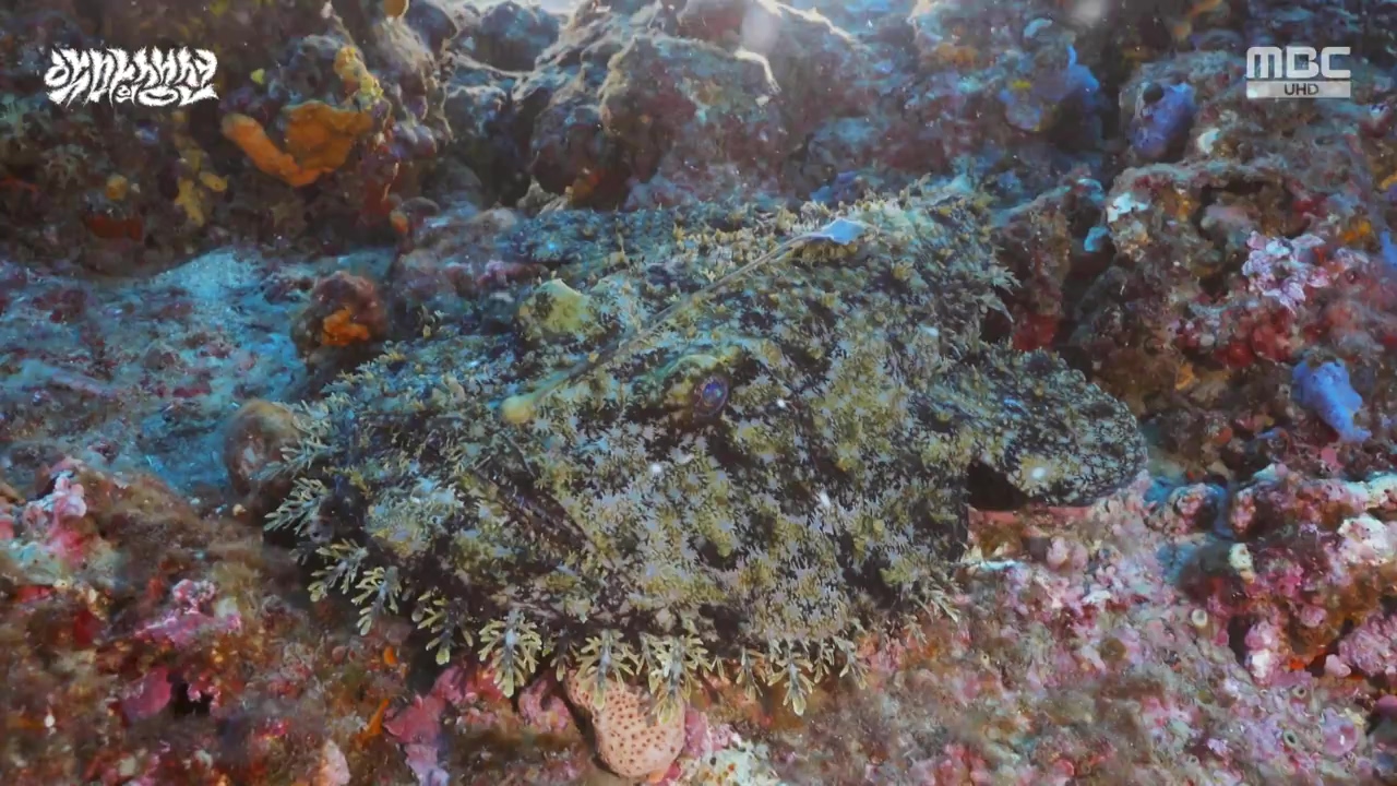 MBC 네트워크특선.E1670.240403p-NEXT.mp4_20240403_203714.951.jpg