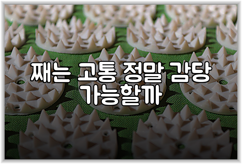째는 고통 정말 감당 가능할까