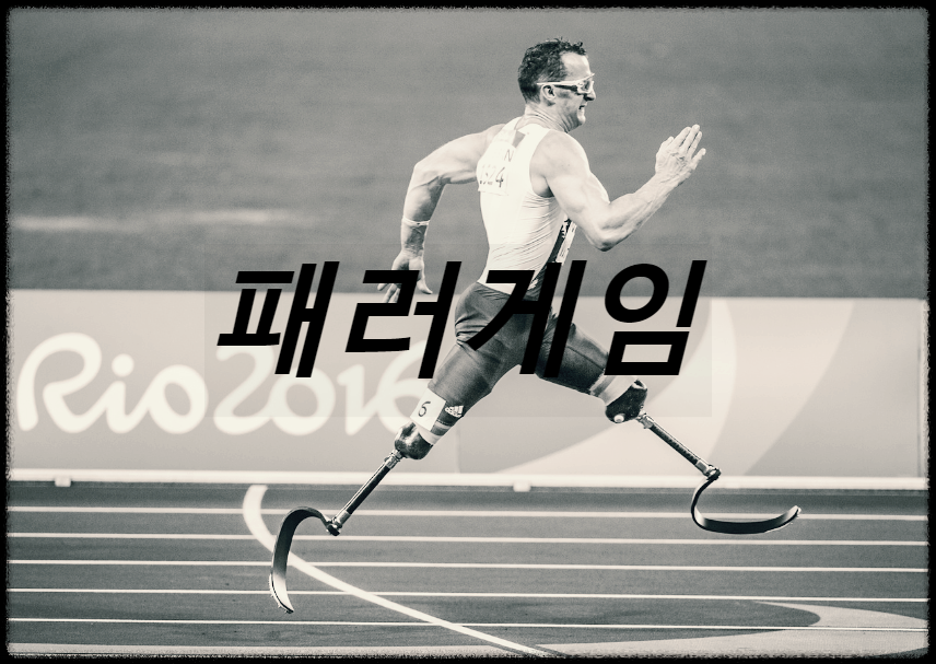  패러게임 : 아시아패럴림픽위위원회에서 주최하는 장애인 스포츠 대회